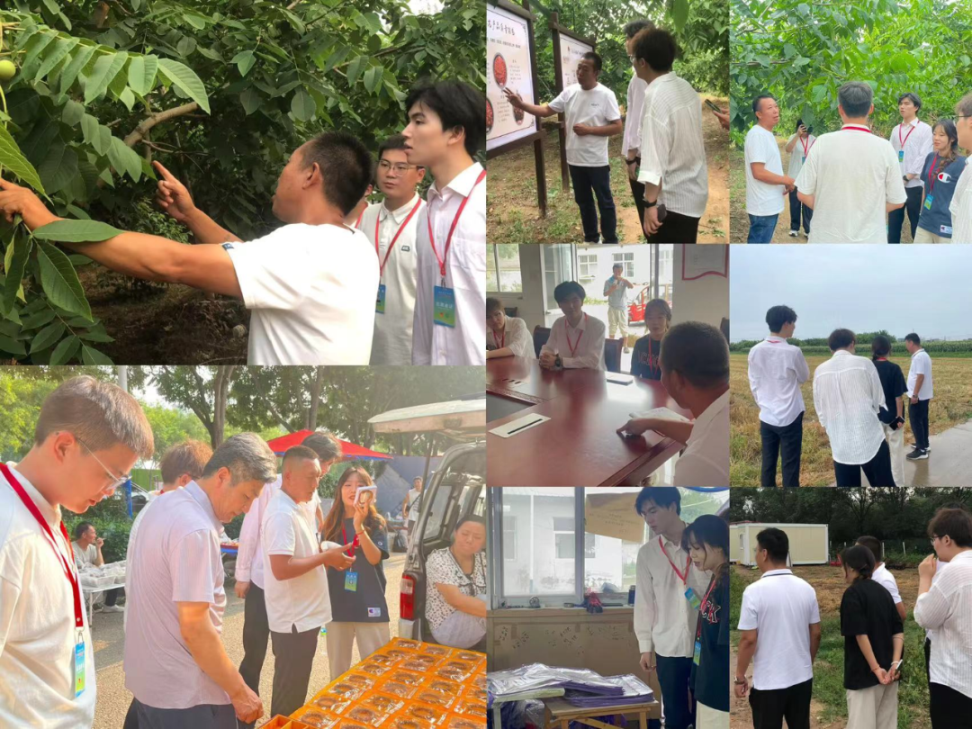 社会实践(二)|青春筑梦乡村,矢志不渝献力量——保定理工学院“行以志远”乡村振兴实践团社会实践活动
