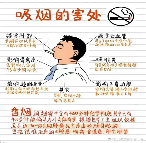 创建无烟校园，共享健康蓝天
