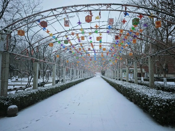 寒假限定！保理的初雪，把浪漫寄给返乡的你