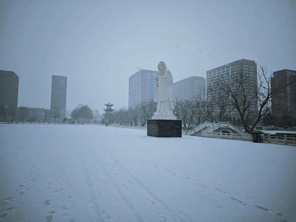 寒假限定！保理的初雪，把浪漫寄给返乡的你