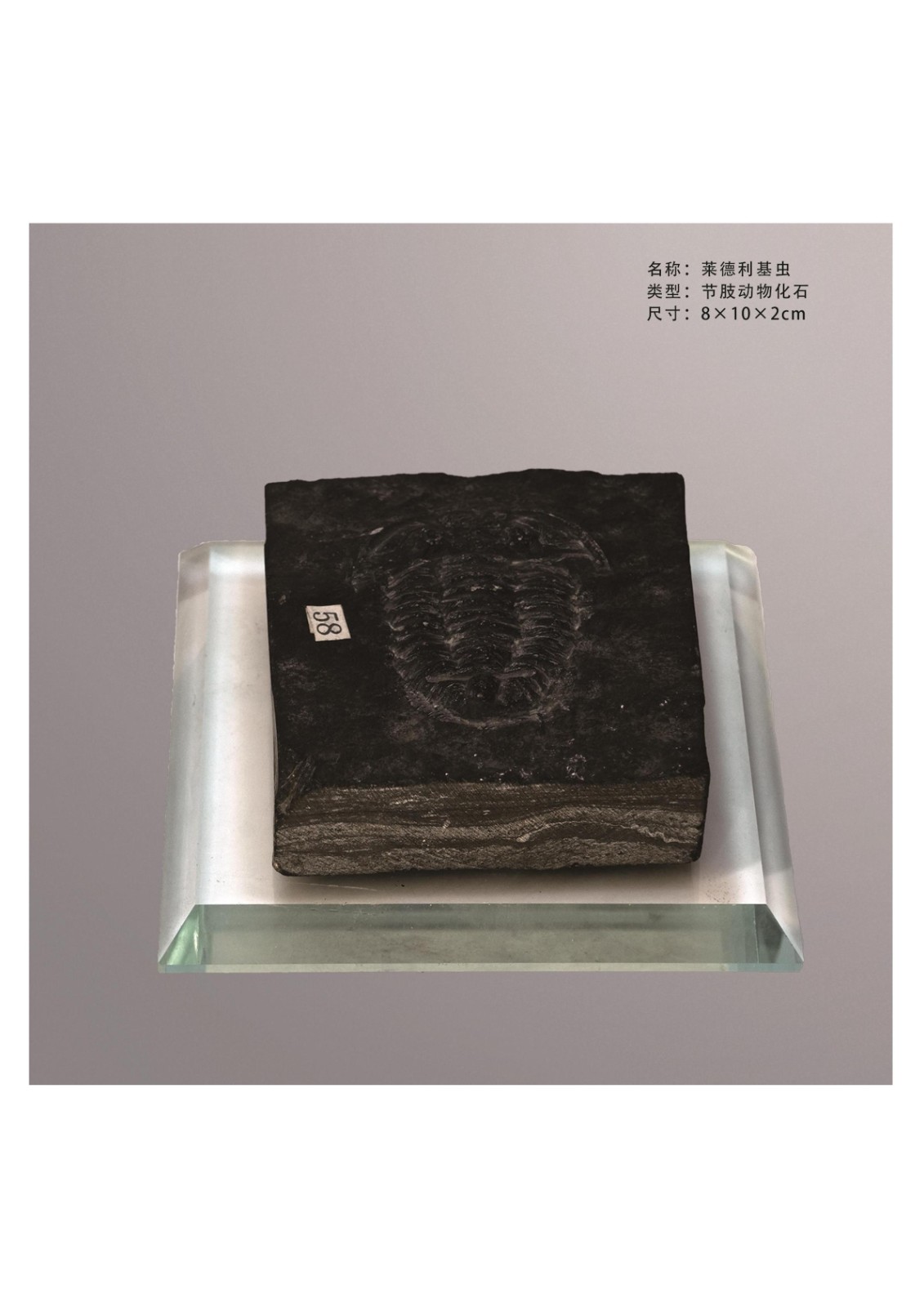 简介