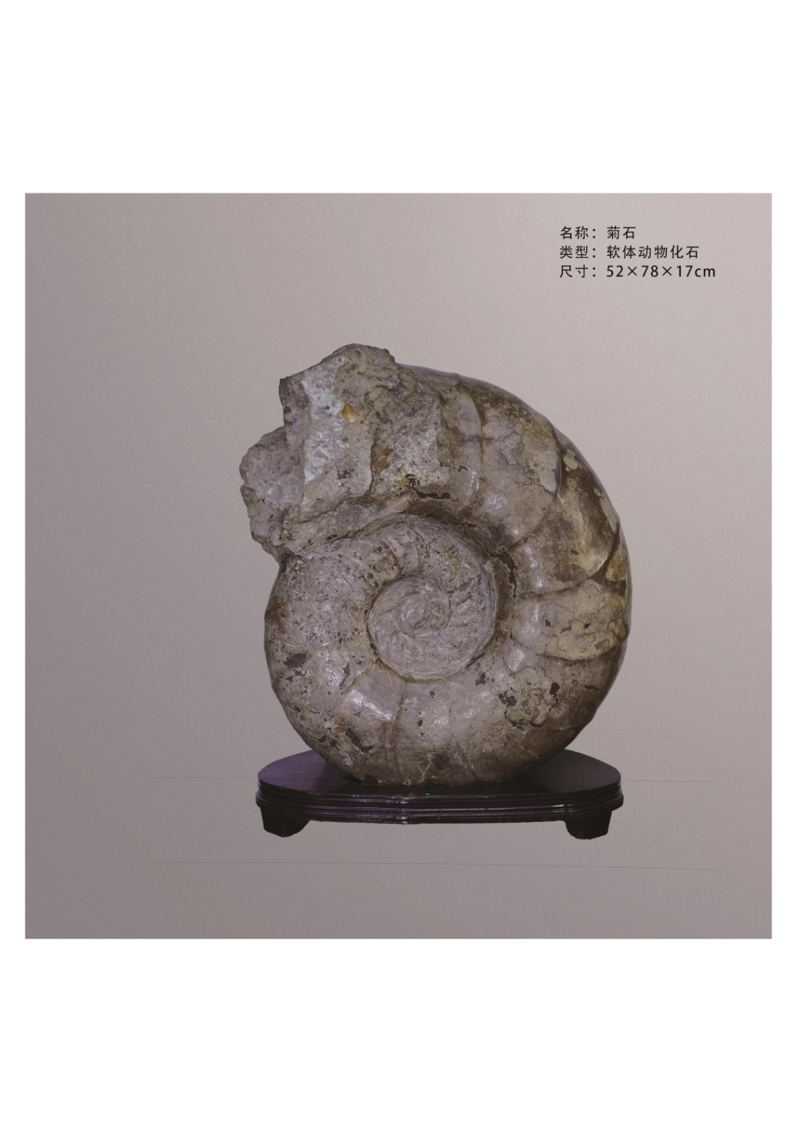 简介
