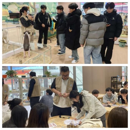 课堂搬进商业综合体，设计赋能地方文旅发展——保定理工学院艺术学院校企实践收获企业感谢信