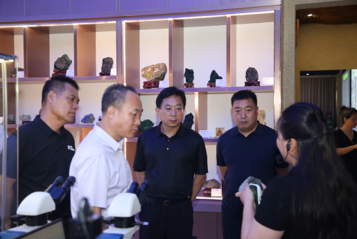 科创赋能谋发展，校地协同谱新篇 ——保定市科协领导莅临我校交流指导