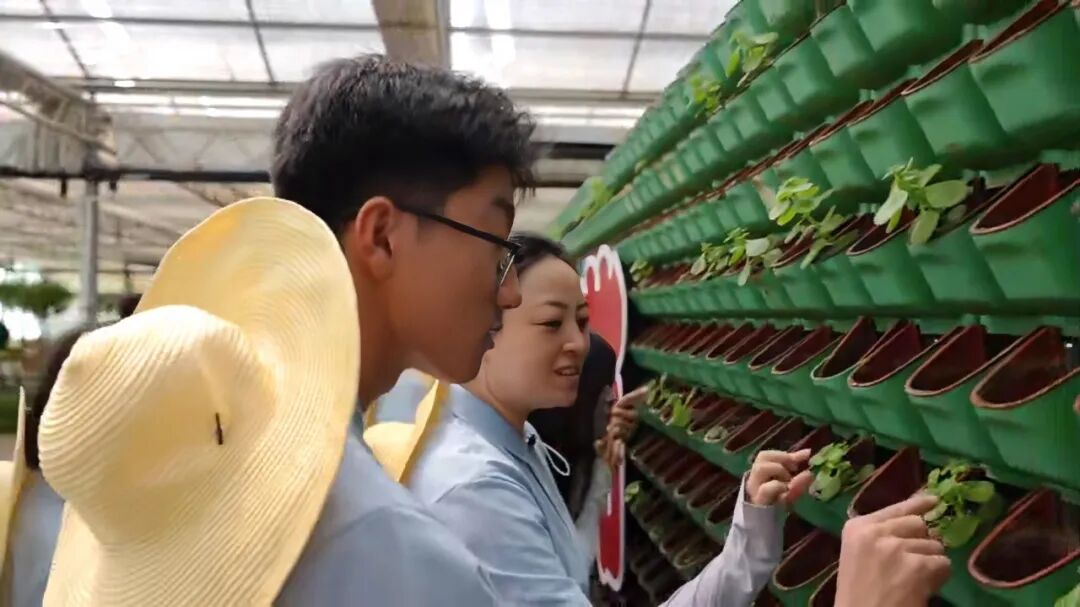 当“新农具”遇上“新质力”!保定理工学院学子把课堂搬进桃园与智慧大棚